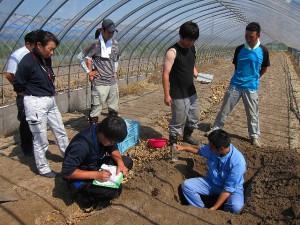 「ふらの土の会」定期土壌診断調査(2016年9月)