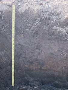 穴掘りと土壌断面観察から始まる土壌診断